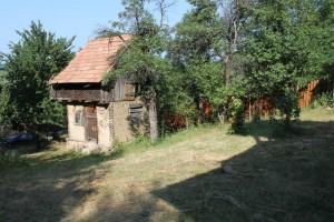 IMG_5481