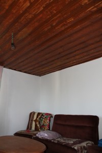 IMG_5490
