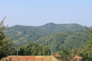 IMG_5499