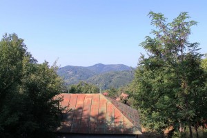 IMG_5500
